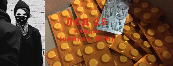 крисы Бронницы