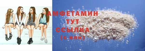 ГАЛЛЮЦИНОГЕННЫЕ ГРИБЫ Бородино