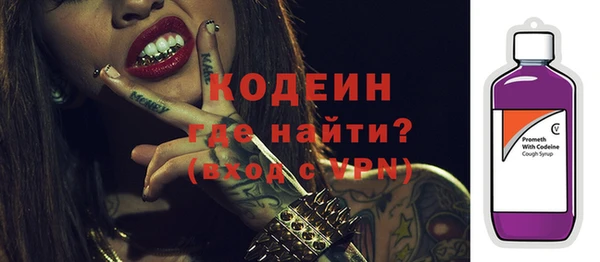 стаф Россошь