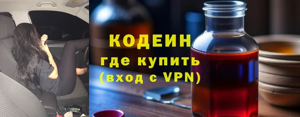 ГАЛЛЮЦИНОГЕННЫЕ ГРИБЫ Бородино