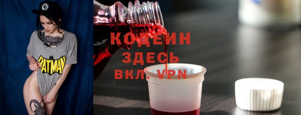 прущие грибы Рославль