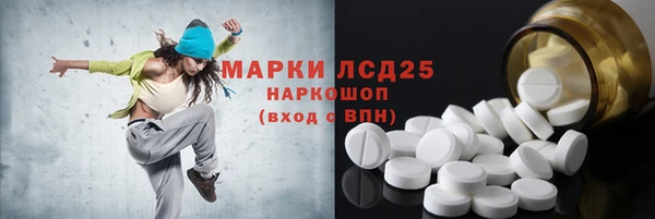 прущие грибы Рославль