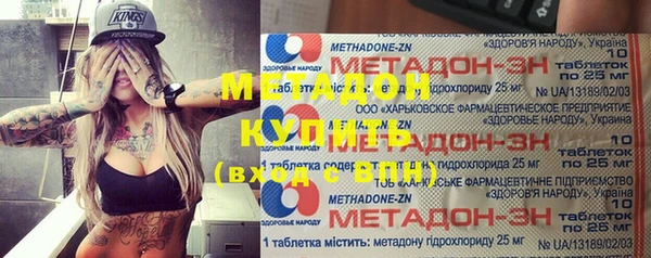 прущие грибы Рославль