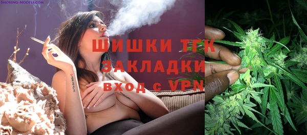 стаф Ростов