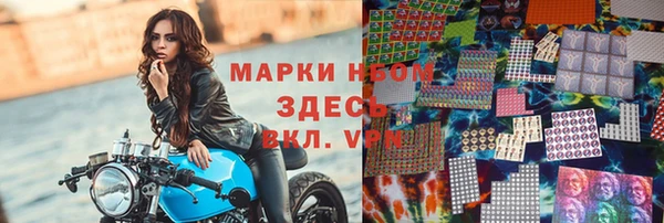 стаф Россошь