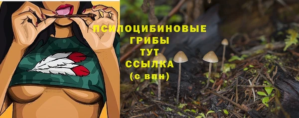 PSILOCYBIN Верхний Тагил