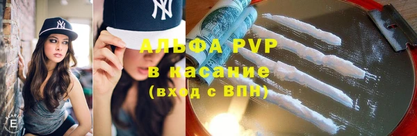 крисы Бронницы