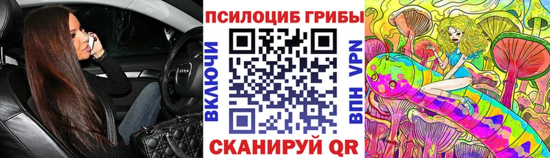 закладки  Подпорожье  Псилоцибиновые грибы прущие грибы 